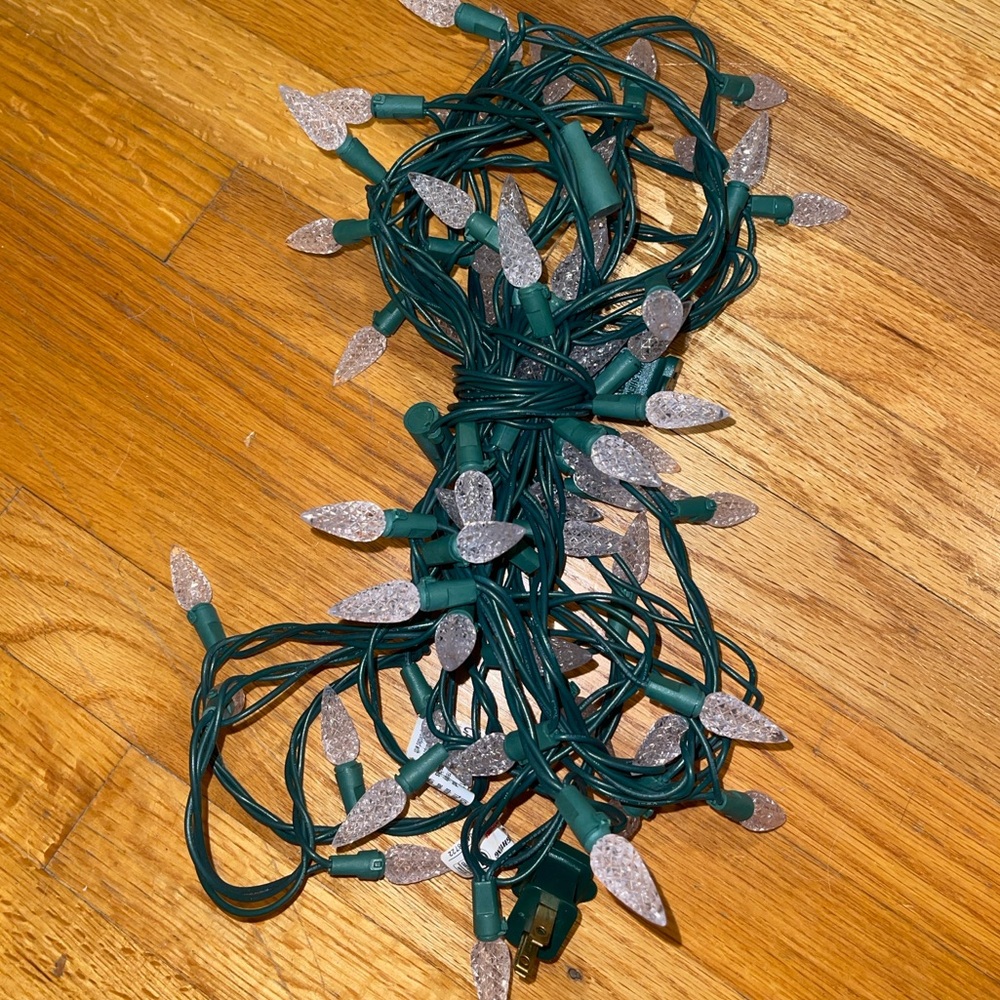Indoor/Outdoor Lights 17ft